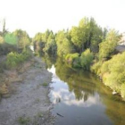 Al norte del puente de San Juan de Dios las riberas del Bernesga rebosan maleza.