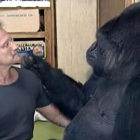 Robin Williams conversando con Koko, una célebre hembra de gorila que aprendió a comunicarse a través del lenguaje de signos.