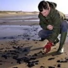 Un hombre realiza tareas de limpieza en el arenal Playa de Montalivet, en la Francia Occidental