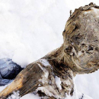 Cuerpo momificado de uno de los hombres hallados en la cima del Pico de Orizaba (México).
