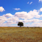 La Sobarriba invita a dar largos paseos por sus parajes tranquilos y llanos, con alguna colina. DL