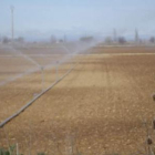 Muchos cultivos ya se han recolectado y los agricultores preparan el próximo ciclo.