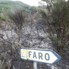 A la pérdida medioambiental hay que añadir la económica.