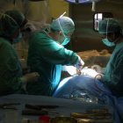 Imagen de una operación de columna en un quirófano del Hospital de León. DANIEL