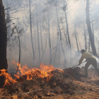 Imagen de la extinción del pavoroso incendio que el pasado verano asoló el monte de Castrocontrigo.