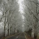 Imágenes como ésta, tomada en el invierno en la carretera de Grafedes, pasarán a la historia