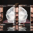 La ciencia desmotan los mitos sobre el funcionamiento del cerebro.