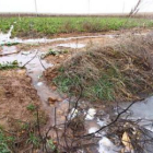 El agua de las lluvias anega buena parte de los cultivos del sur de la provincia.
