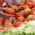 El sabroso tomate de Mansilla de las Mulas  será el protagonista de la feria el día 27. FERNANDO OTERO