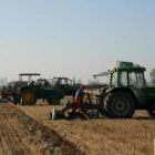 El concurso de arada muestra la pericia de los agricultores con la tierra