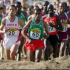 Bekele lidera el nutrido «pelotón» africano que se dio cita ayer en el cross de Saint Galmier