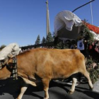 Romería de San Froilán