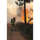 Detalle de un incendio en el Bierzo. L. DE LA MATA