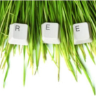 LIFE GREEN TIC