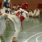 Escuela deportiva de taekwondo de Valencia de Don Juan. MEDINA