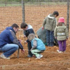 La plantación se llevó a cabo en un terreno de Cortiguera