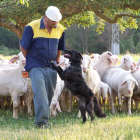 La iniciativa busca fomentar la protección de razas locales. F.G.