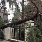 Vista del lugar en el que falleció el niño tras caerle un árbol encima en el parque del Retiro. BAZARRO