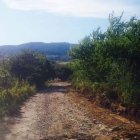 Estado del camino de Villar de los Barrios a San Lorenzo. DL
