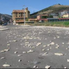 Los restos de baldosas destrozadas fueros esparcidos por la calzada de la calle de La Ribera.