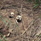En 2018, hubo más de 33.000 asesinatos en el país, la mayoría de los cuales estaban relacionados con el crimen organizado.