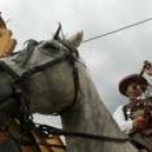 El ambiente festivo se palpaba ayer por la tarde en Cimanes del Tejar