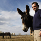 El astorgano Isaac de la Fuente, junto a uno de los seis burros que cuida.