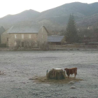 Babia alcanzó días atrás los -10.º bajo cero.