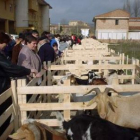 La feria de San Blas cuenta con una gran tradición ganadera
