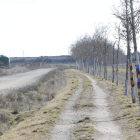 Tramo del Camino de Santiago a su paso por El Burgo Ranero. MARCIANO PÉREZ