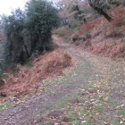 Pista forestal de la Sierra de Fuente Castrada donde se localizaron los cadáveres.