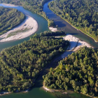 Vivir del bosque es posible y necesario para frenar el cambio climático. Safarek