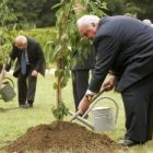 Gorbachov y Kohl plantaron cerezos en el quince aniversario