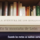 Haiku de Estantería de Juan Luis García