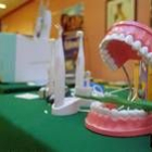 Al menos un millón de niños y niñas de 7 y 8 años podrán elegir dentista el próximo año