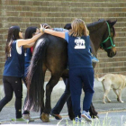 El caballo Cartucho lleva a uno de los niños, ayudado por monitoras de la asociación. DL