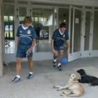 Irazusta, con un balón medicinal en la manos, juguetea con los perros de Puente Castro