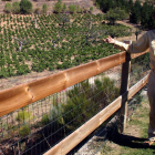 María Zamarreño Villa muestra desde las inmediaciones de la bodega los viñedos que son motivo de orgullo personal.