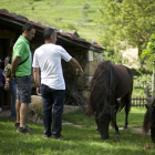 La Ruta del Pepín permite visitar un lagar tradicional, una cabaña de pastor o acercarse a varias especies de razas autóctonas asturianas.