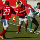 El Real Murcia es, junto con el Lugo, el único equipo que ha conseguido derrotar al Elche.