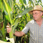 Josep Pamies, reputado agricultor