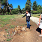 Samuel Folgueral y Cristina López ayer en el parque del Temple, donde siguen las raíces de la tala. DL