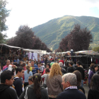 El recinto ferial de Las Rozas estará abierto para todo tipo de ganado, desde vacuno hasta caprino, equino o porcino  , si bien tradicionalmente La Feriona congregaba a reses vacunas y equinas. Desde hace unos años, comenzó a desarrollarse una exposición monográfica de razas puras, que este año el ayuntamiento ha decidido suprimir.  Mientras que el plato típico del día es el pulpo «A feira» el cual se puede degustar tanto en las pulperías que se ubicarán en la Avenida del Bierzo como en bares, restaurantes y hogares lacianiegos.