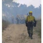 Miembros de una brigada de León durante la extinción de un incendio