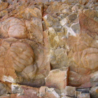 Yacimiento de trilobites encontrado en las formaciones rocosas de Barrios de Luna.