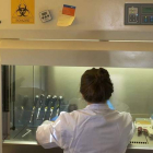 Una investigadora en su laboratorio de la Universidad de León. DL