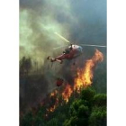 Helicóptero forestal extinguiendo un incendio, el pasado verano