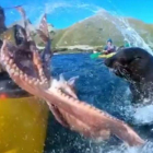Escena del vídeo.