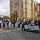 Vuelve la cuestación contra el cáncer. DL