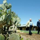 Bush camina junto a Sharón en el rancho que el presidente estadounidense tiene en Crawford, Texas